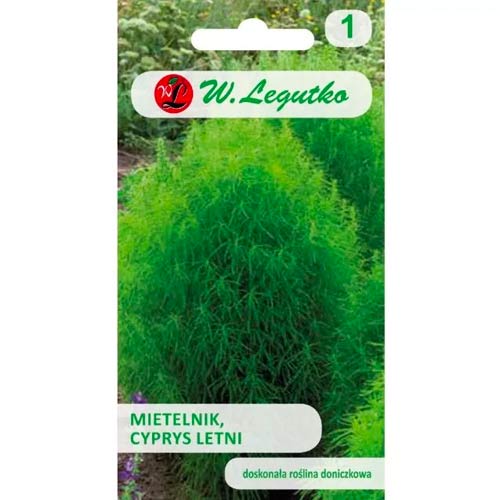 1 szt, Mietelnik - Nasiona: Ilość w opakowaniu: 1 g