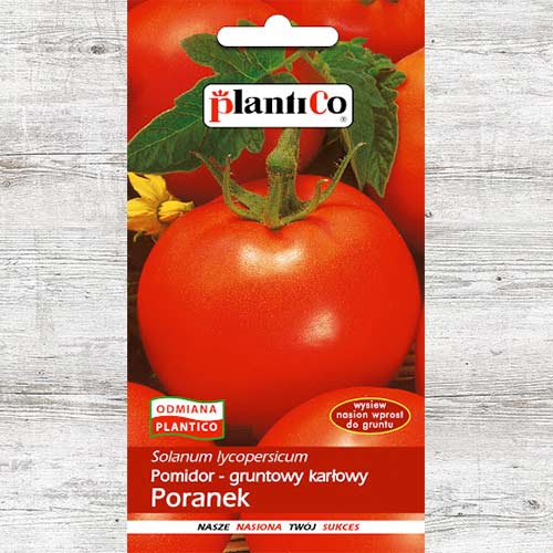 1 szt, Pomidor Poranek - Nasiona: Ilość w opakowaniu: 1 g