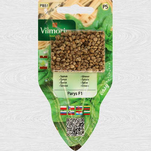 1 szt, Szpinak Parys F1 - Nasiona: Ilość w opakowaniu: 6 g