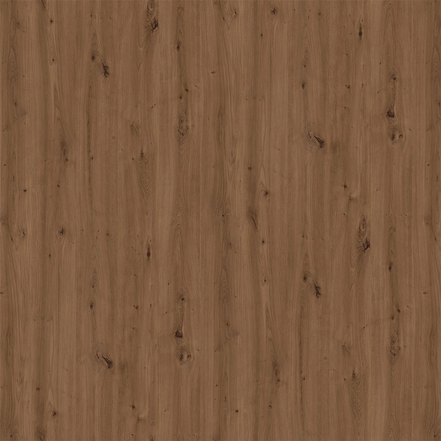 Okleina DĄB ARTISAN 67,5 x 200 cm