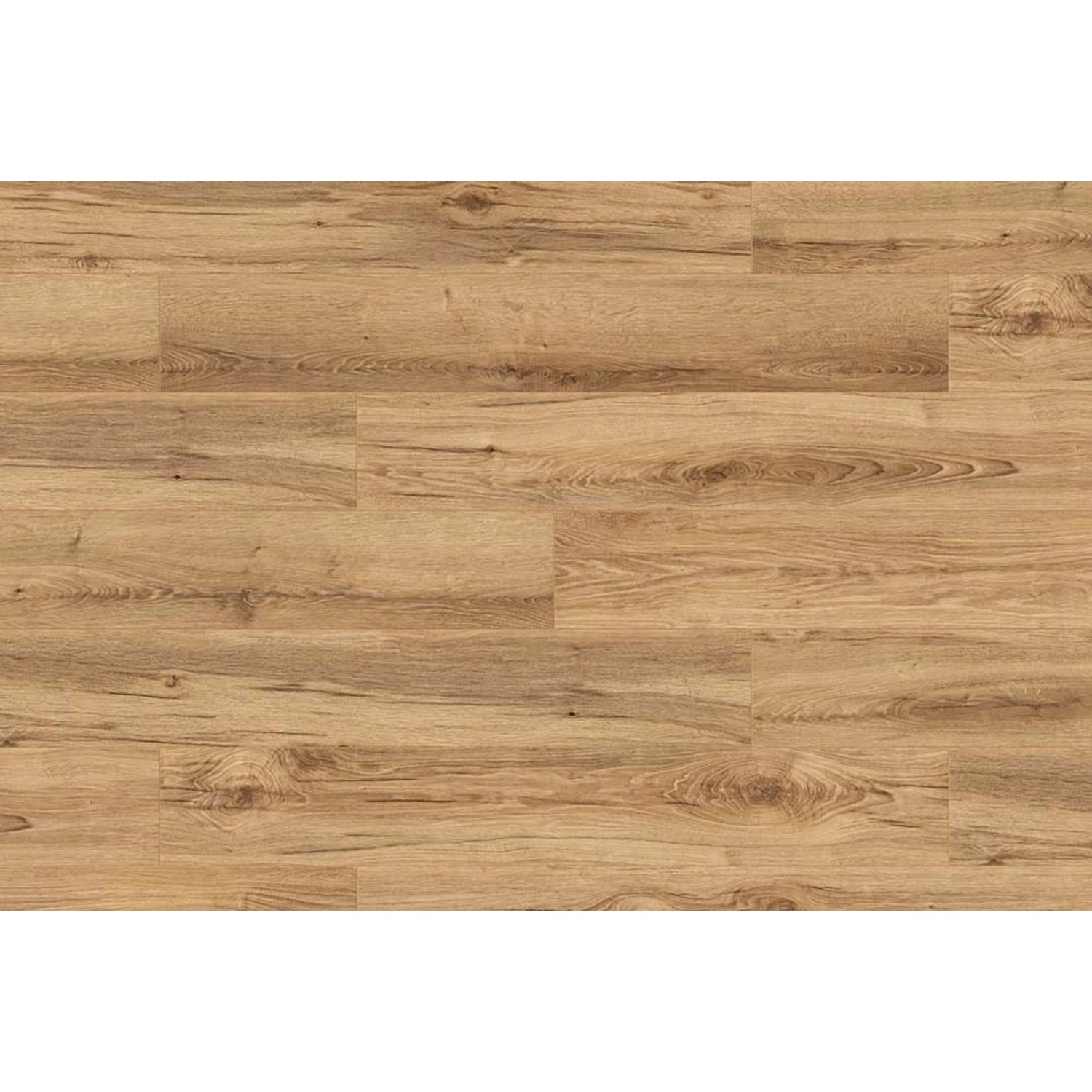 Kronospan Panel podłogowy Dąb Gordon 8 mm AC 5