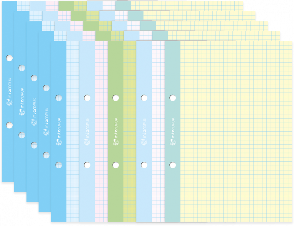 5x Wkład do segregatora w kolorową kratkę Interdruk, A5, 50 kartek, kolorowy margines