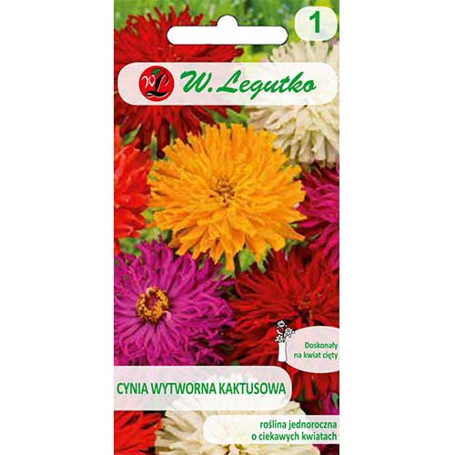 1 pac, Zinnia (Cârciumăreasă) tip cactus, mix multicolor Legutko - Semințe: Mod de ambalare: 1 g