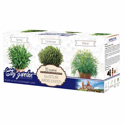 1 pac, Set de mirodenii Gusturi ardelenești - Semințe: Mod de ambalare: 1 pac