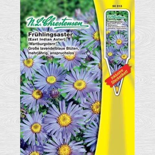 1 pac, Aster Wartburg Star - Semințe: Mod de ambalare: 1 pac