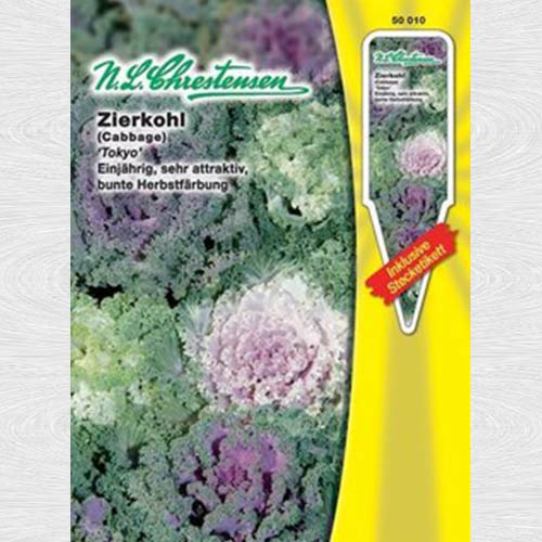 1 pac, Varză decorativă Tokyo, mix multicolor - Semințe: Mod de ambalare: 1 pac
