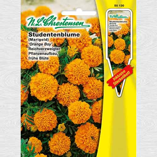 1 pac, Crăițe Orange Boy - Semințe: Mod de ambalare: 1 pac