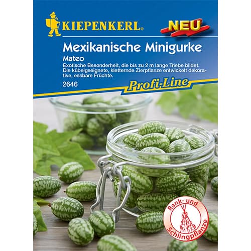 1 ob, Okurka mexická Mateo - : Monžstvo balíkov: 1 ob