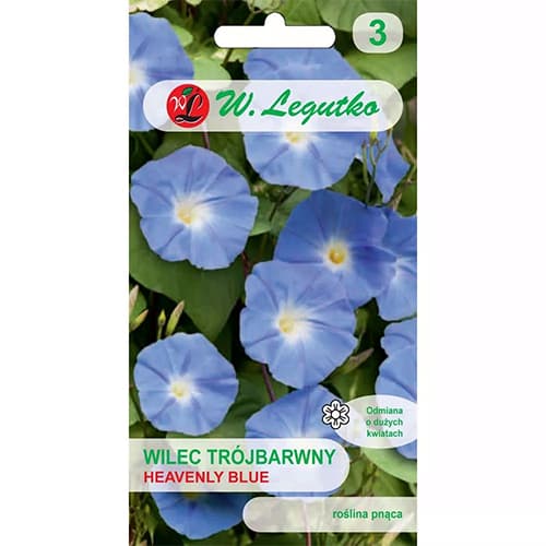 1 szt, Prunkwinde Heavenly Blue - Samen: Ilość w opakowaniu: 1 g