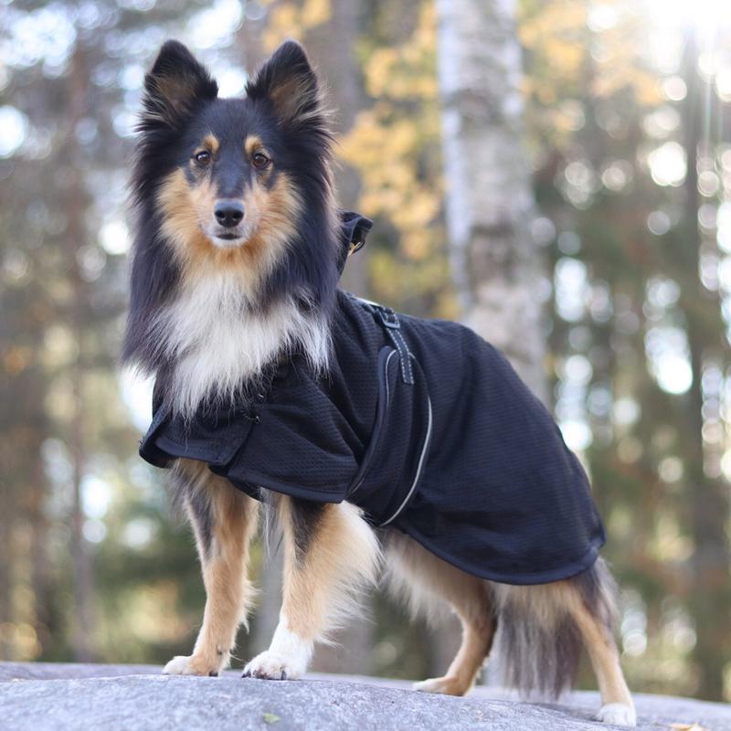 Back on Track Back on Track Mesh kurtka dla psa 24h