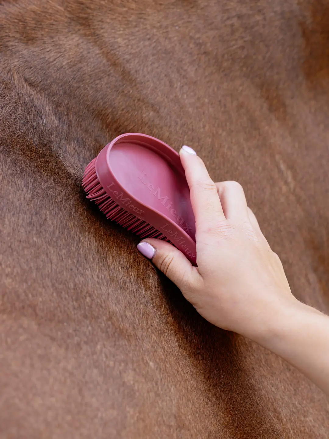 LeMieux LeMieux szczotka Wizard jesień/zima