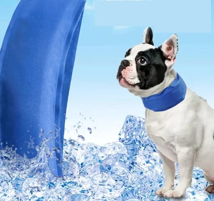 Obroża dla psa chłodząca