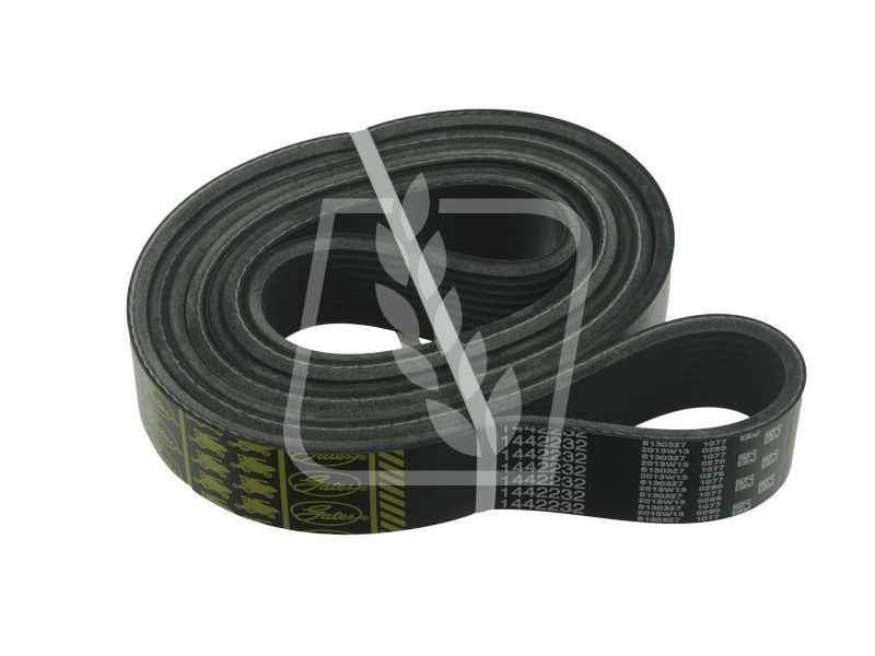 Pas wielorowkowy 798779 9K x 2060LB