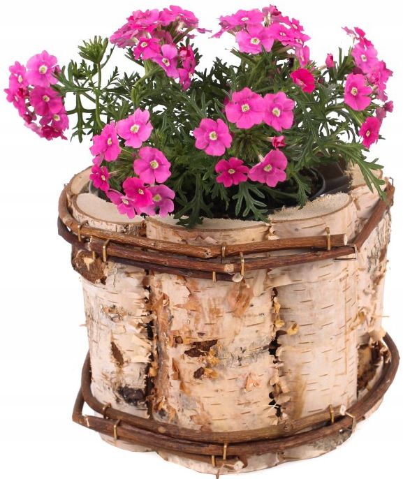 Osłonka KOTARBAU okrągła drewniana 12 cm 1 szt.