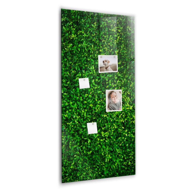 Szklana tablica magnetyczna Wallfluent 60x120 cm Płot liście roślin Biały marker 1 szt.