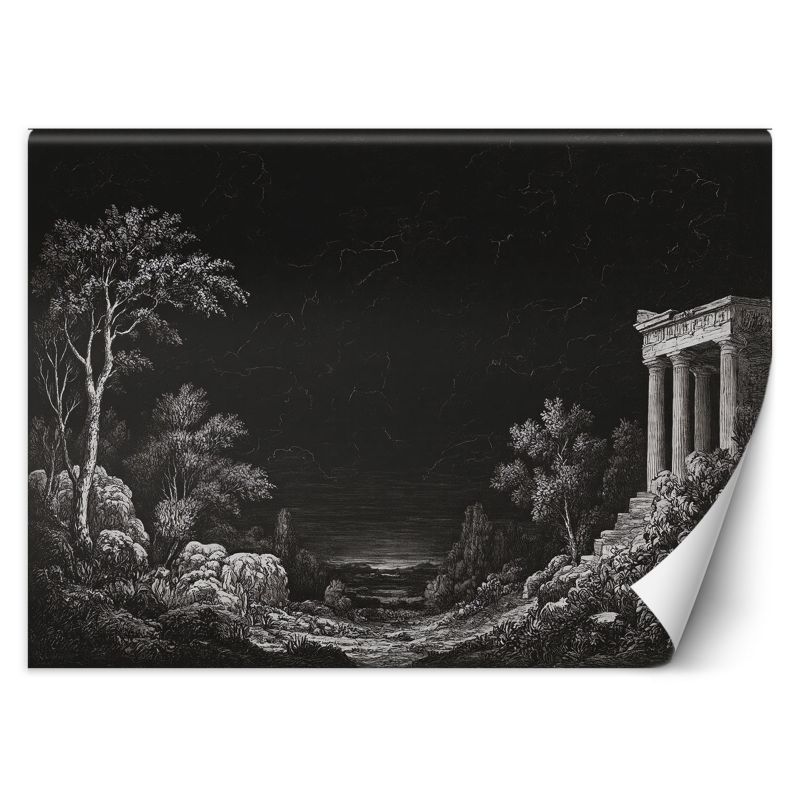 Fototapeta Feeby Czarny Krajobraz Architektura 350x245 1 szt