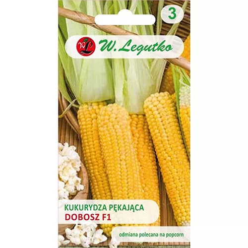 1 szt, Kukurydza popcornowa Dobosz F1 - Nasiona: Ilość w opakowaniu: 10 g
