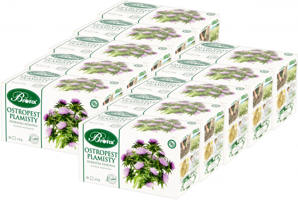 10x Herbata ziołowa w torebkach BiFix, ostropest plamisty, 20 sztuk x 2g