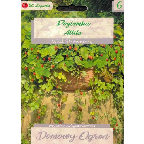 1 pac, Fragi Attila - Semințe: Mod de ambalare: 0.1 g