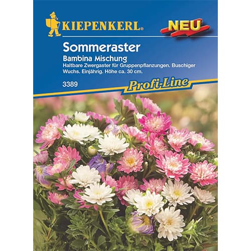 1 szt, Zwergaster Bambina Mischung - Samen: Ilość w opakowaniu: 1 Stück