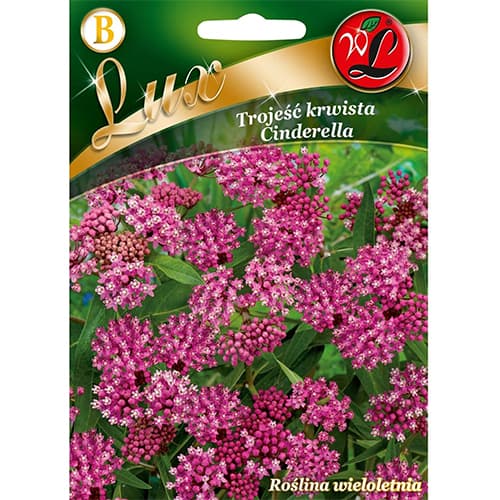 1 szt, Trojeść krwista Cinderella - Nasiona: Ilość w opakowaniu: 0.3 g