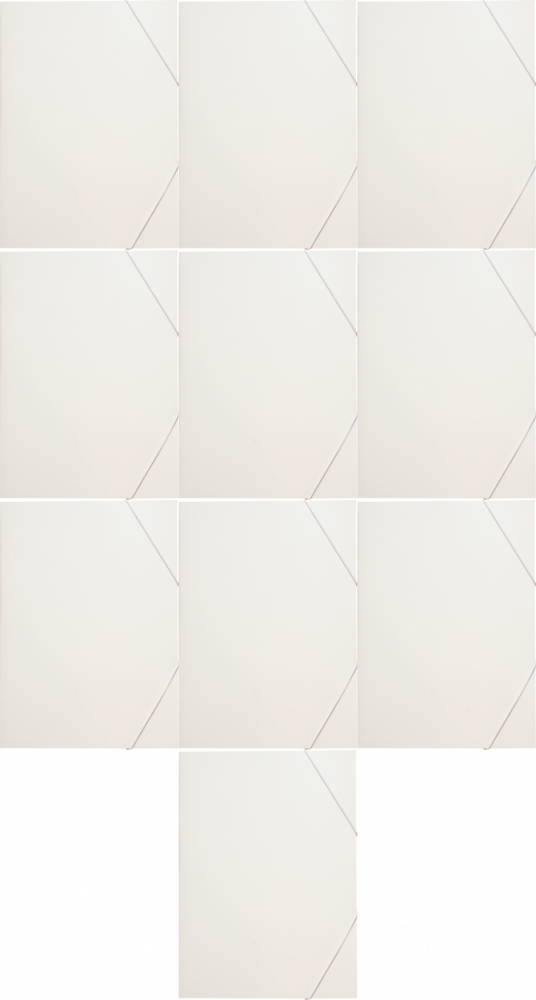 10x Teczka kartonowa z gumką Leniar, A3, 20mm, biały