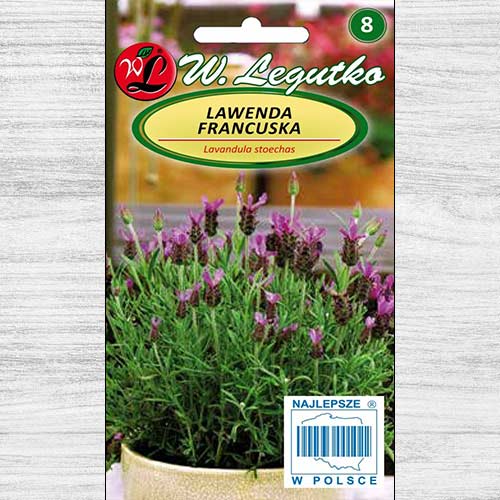 1 pac, Lavandă franțuzească Legutko - Semințe: Mod de ambalare: 0.03 g