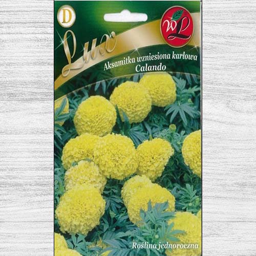 1 pac, Zinnia (Cârciumăreasă) Liliputek pitică portocalie - Semințe: Mod de ambalare: 0.5 g