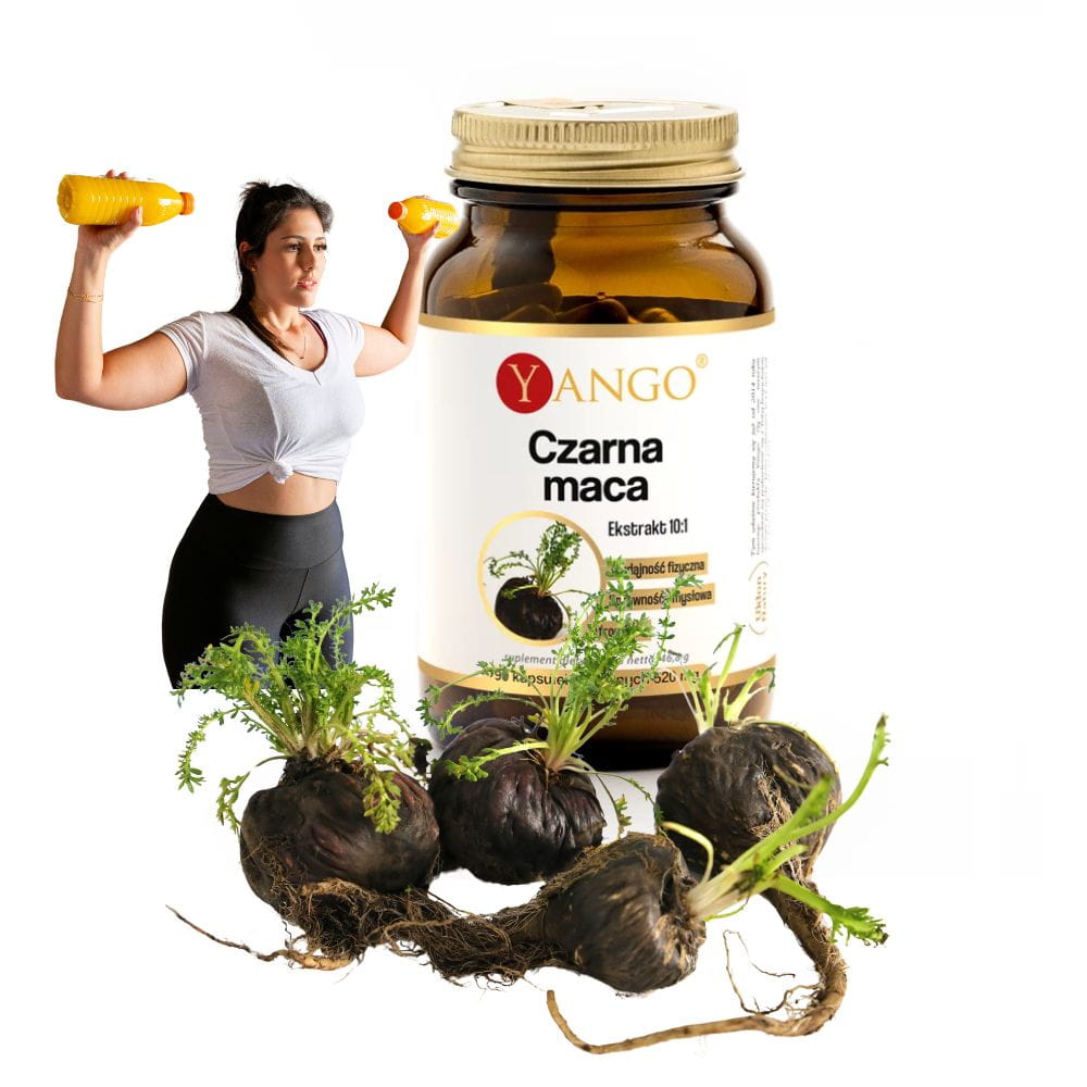 Czarna Maca 90kaps. Yango