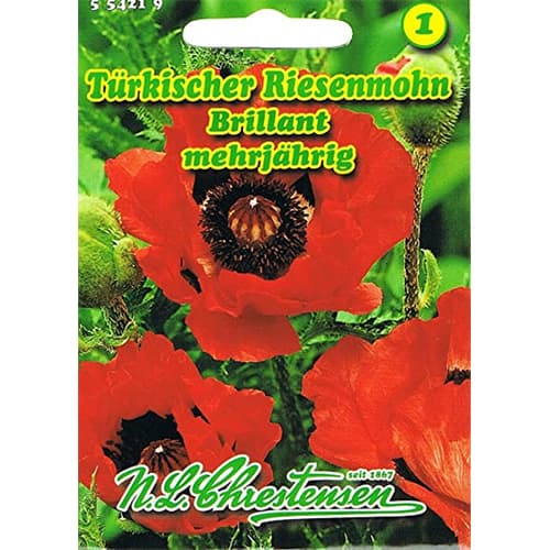 1 kus, Mák orientální Brillant - : Monžstvo balíkov: 1 kus