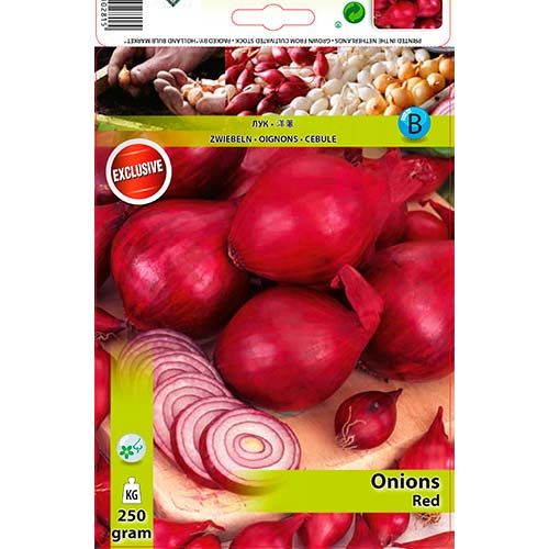 1 szt, Rote Zwiebeln - Samen: Ilość w opakowaniu: 250 g