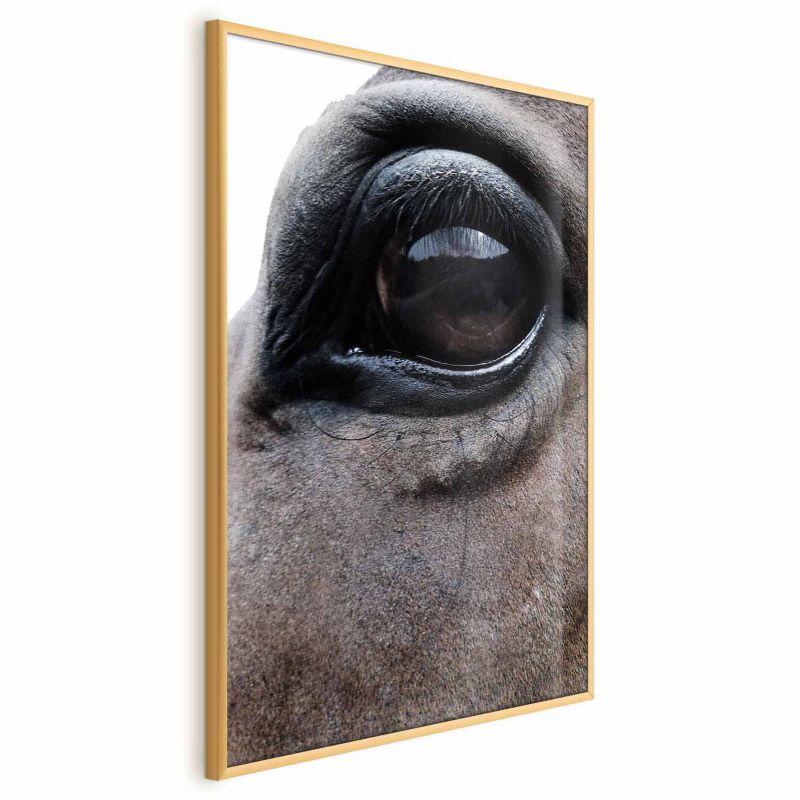 Plakat Artgeist Szczere oczy 21x30 cm z ramą złotą 1 szt