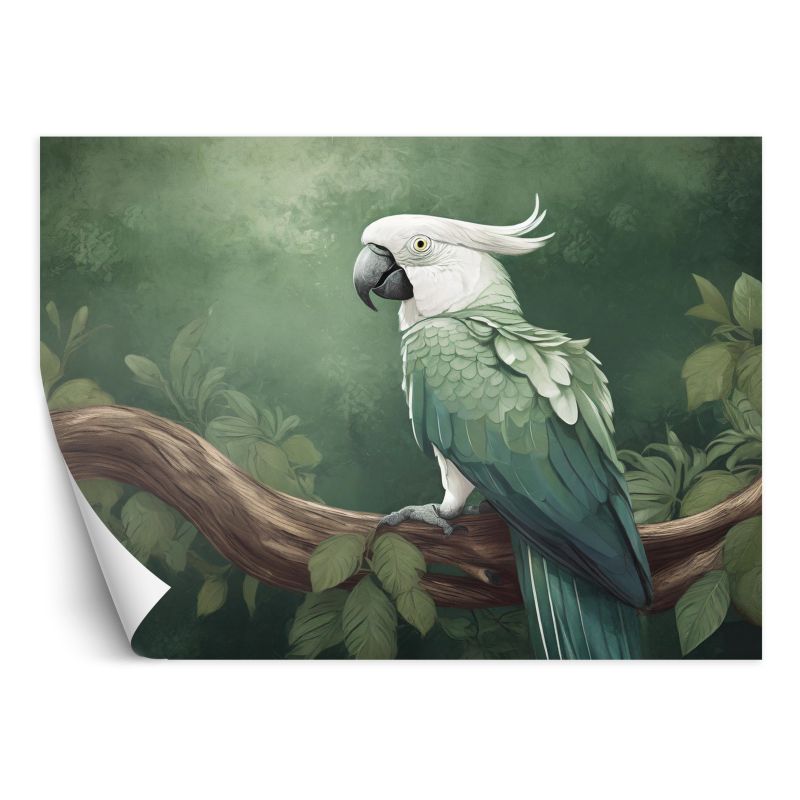 Fototapeta Feeby Ptaki Zwierzęta Papuga 450x315 1 szt