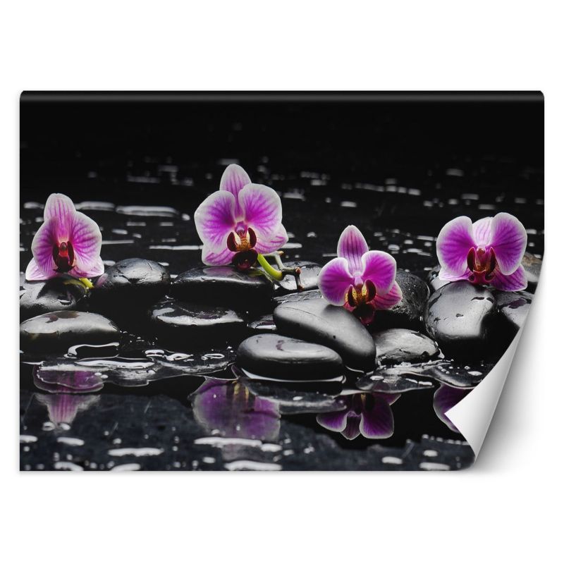 Fototapeta Feeby Kamienie zen orchidea 400x280 1 szt
