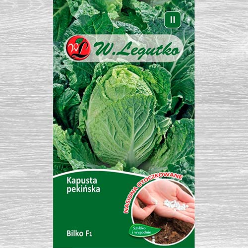 1 szt, Kapusta pekińska Bilko F1 - Nasiona: Ilość w opakowaniu: 50 szt