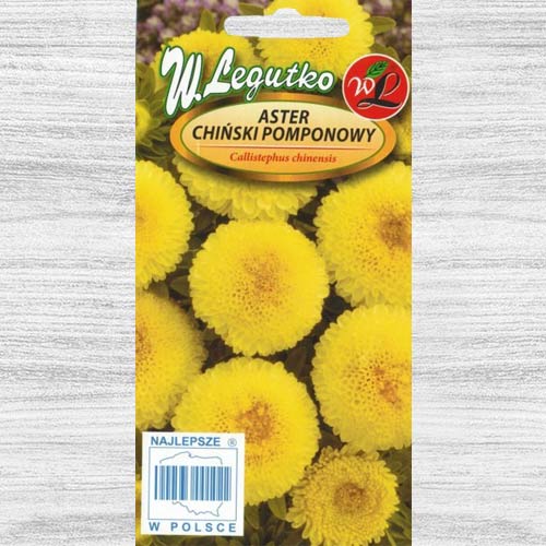 1 szt, Aster chiński pomponowy żółty - Nasiona: Ilość w opakowaniu: 1 g