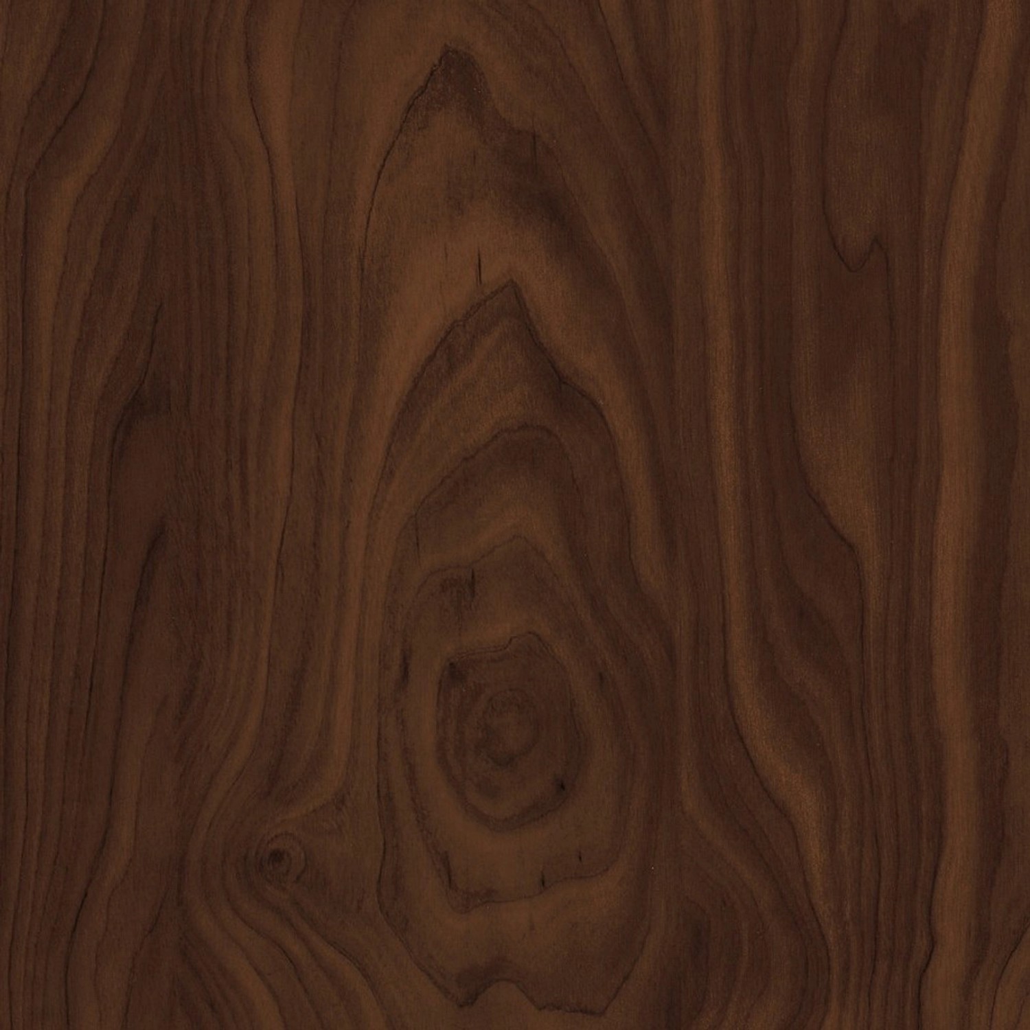 Okleina BRZOZA CZEKOLADOWA 45 cm x 200 cm