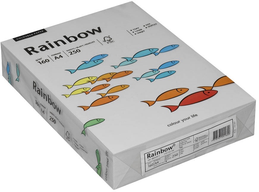 Papier kolorowy Rainbow, A4, 160g/m2, 250 arkuszy, szary (R96)