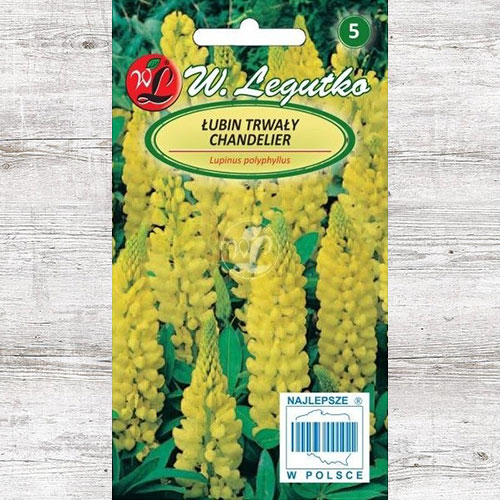 1 pac, Lupin Chandelier galben Legutko - Semințe: Mod de ambalare: 2 g