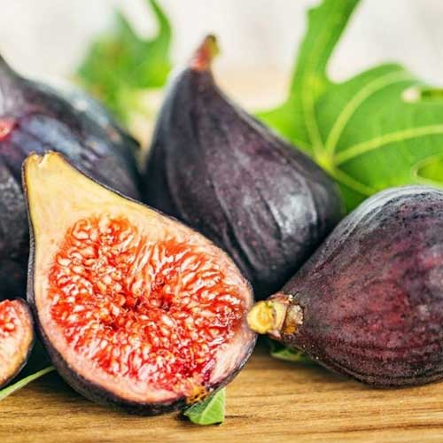 1 buc, Smochin Royal Black - Puieți: Mod de ambalare: 1 buc