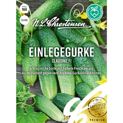 1 szt, Uborka Claudine F1 - Magok: Mod de ambalare: 1 db