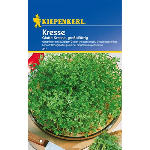 1 szt, Kresse glatte Kresse - Samen: Ilość w opakowaniu: 1 Stück