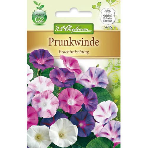 1 szt, Prunkwinde Prachtmischung Chrestensen - Samen: Ilość w opakowaniu: 1 Stück