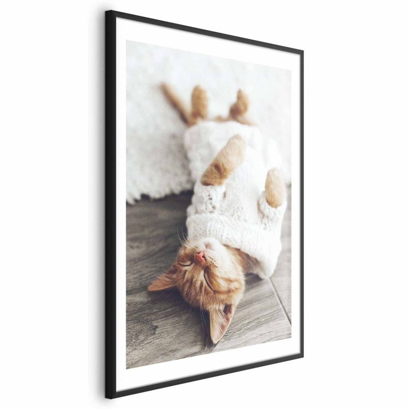 Plakat Artgeist Leniwy kot 40x60 cm z ramą czarną 1 szt