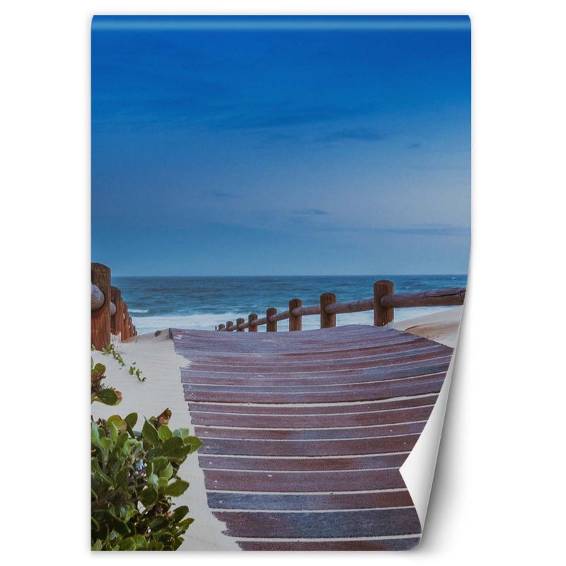 Fototapeta Feeby Droga na plaże 100x140 1 szt