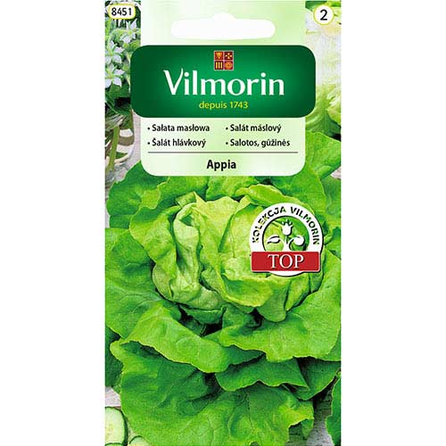 1 szt, Sałata masłowa Appia Vilmorin - Nasiona: Ilość w opakowaniu: 0.5 g