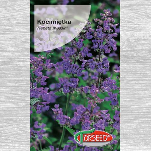1 szt, Kocimiętka (Nepeta) niebieska - Nasiona: Ilość w opakowaniu: 0.5 g