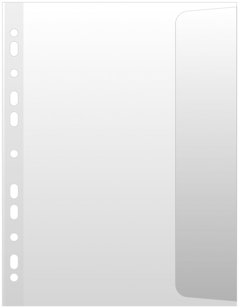 Koszulki groszkowe Donau, z klapką, B4, 100μm, 10 sztuk, transparentny matowy