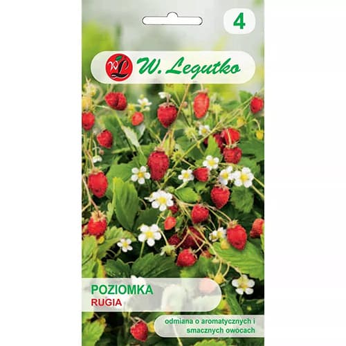 1 pac, Fragi Rugia - Semințe: Mod de ambalare: 0.2 g