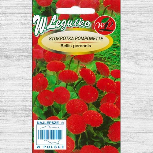 1 pac, Bănuței roșii Pomponette Legutko - Semințe: Mod de ambalare: 0.1 g